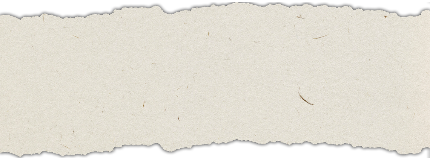 Experience youth Background